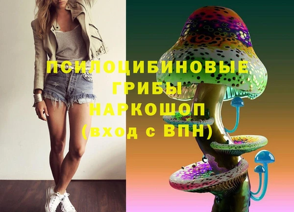 ALPHA-PVP Ельня