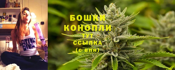 прущие крисы Елабуга