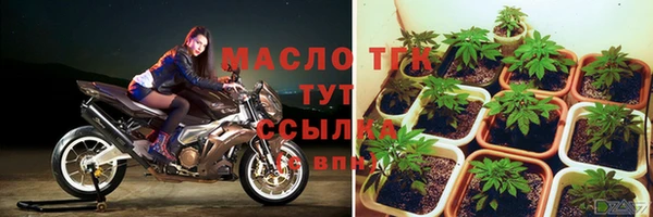 мет Дмитриев