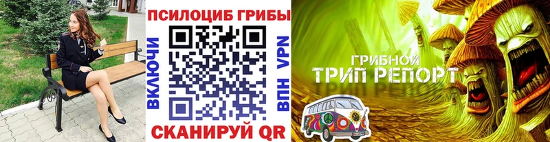 Псилоцибиновые грибы Psilocybe  Купить где  Мариинск 
